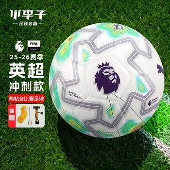 重庆铜梁龙迎战山东泰山展现中超激情